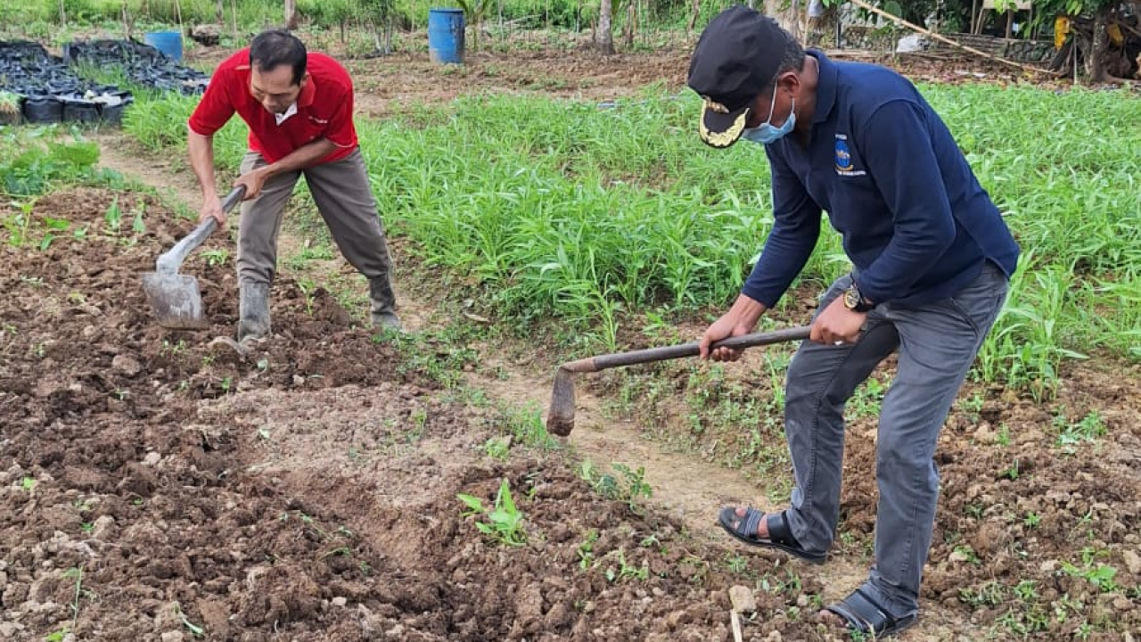 PENGGEMBURAN TANAH KETAPANG KANUAR 2