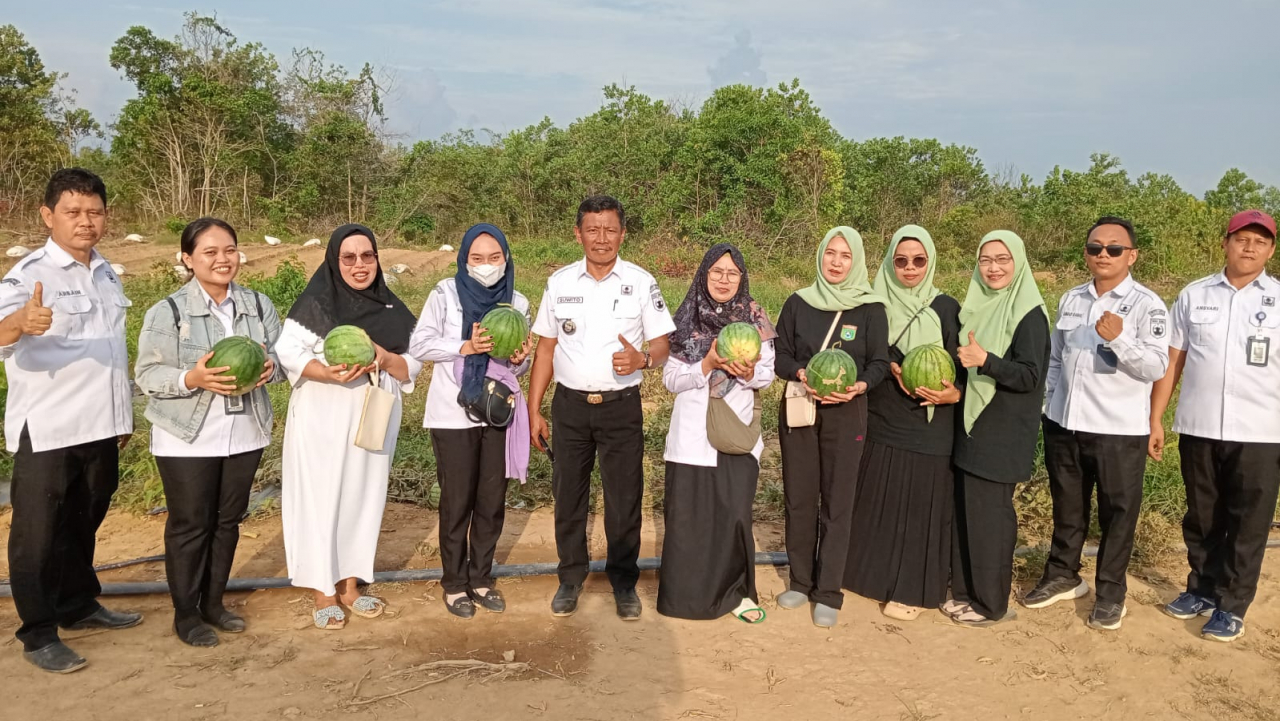 Kepala Desa dan Perangkat Desa Gunung Besar Panen Semangka