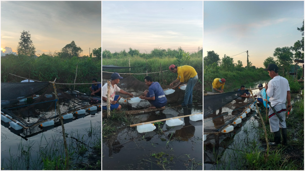 Program Ketahanan Pangan Desa Baroqah: Penguatan Sektor Perikanan Lewat Budidaya Karamba