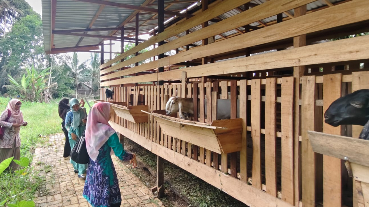 Monitoring Ketahanan Pangan Desa Balida Tinjau Perkembangan Budidaya Kambing dan Tata Kelola Keuangan Desa