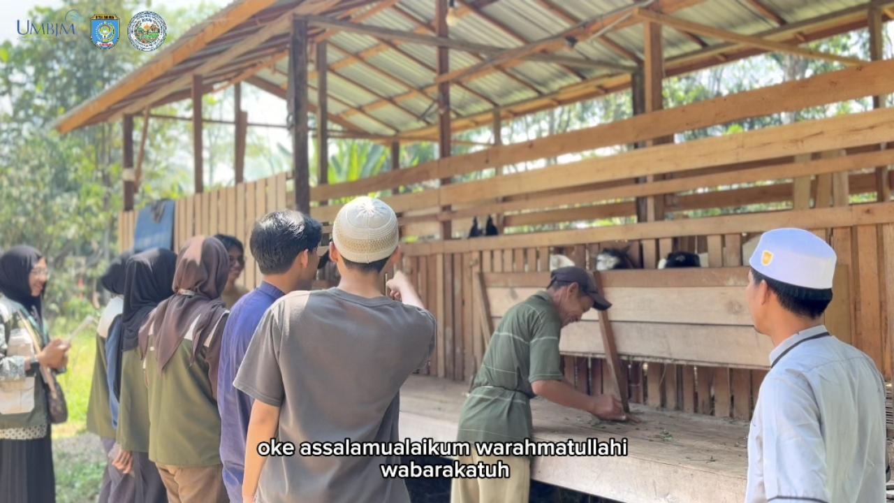 Wisata Peternakan Kambing
