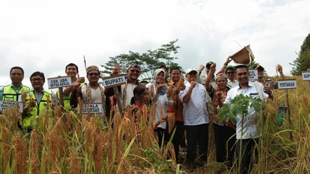 WISATA PANEN PUTAK