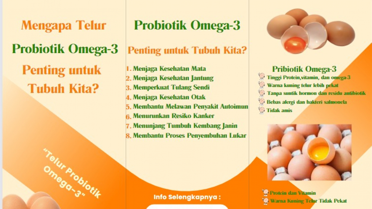 PETERNAKAN TELUR PROBIOTIK OMEGA 3