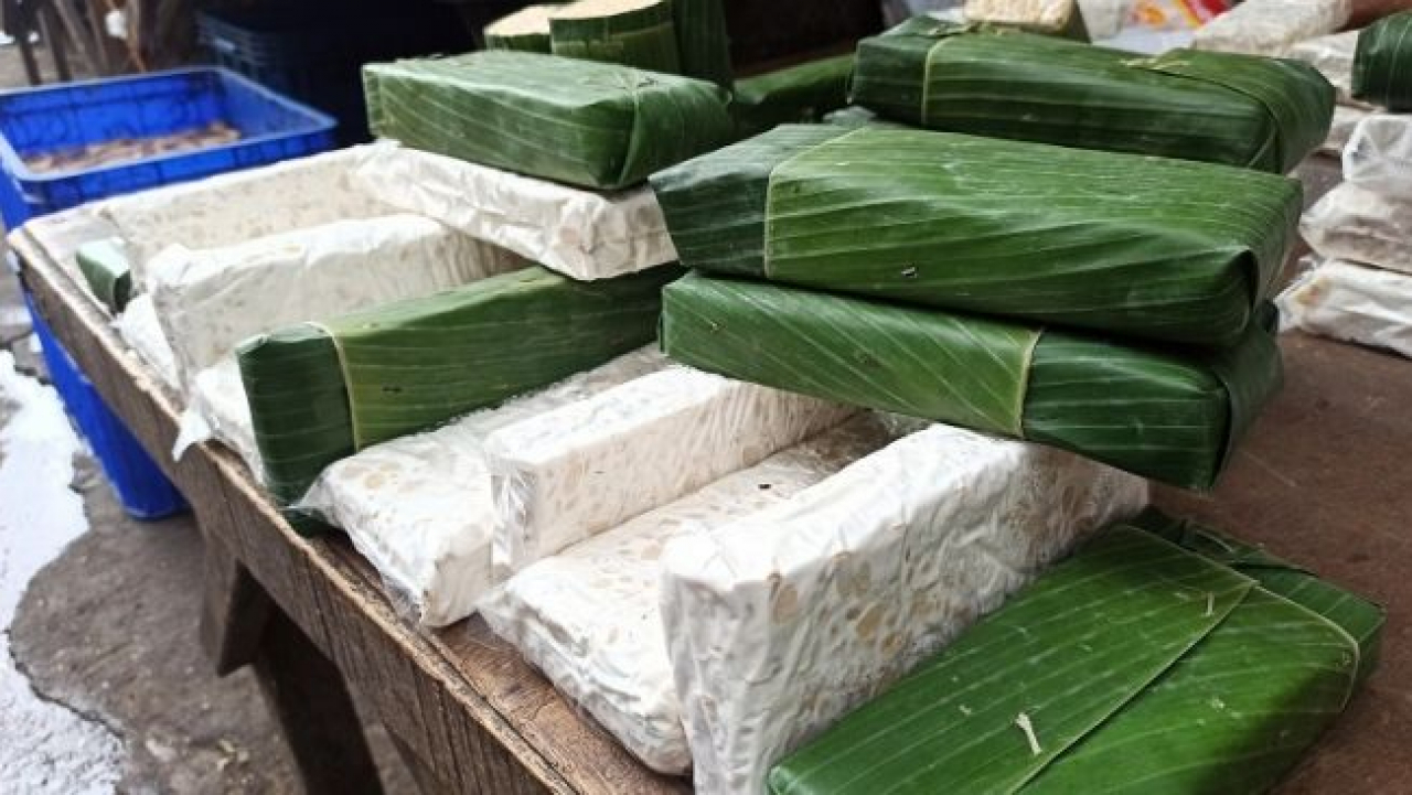 Usaha Olahan Tempe