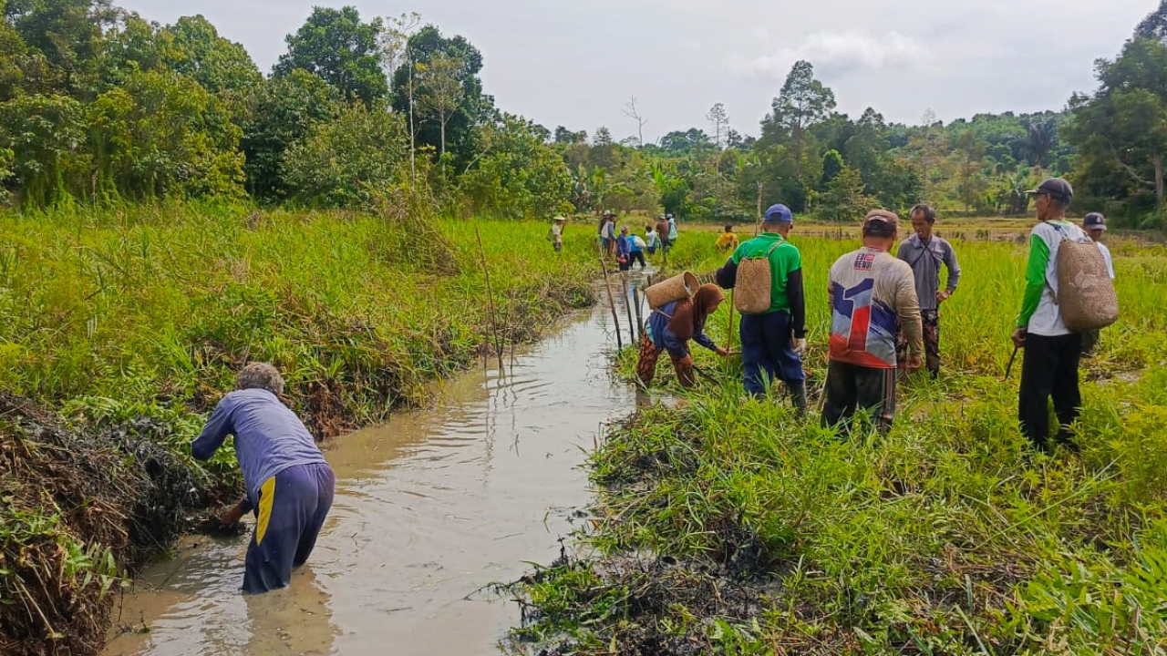 Normalisasi Irigasi Lebak Cilong: Petani Semangat!