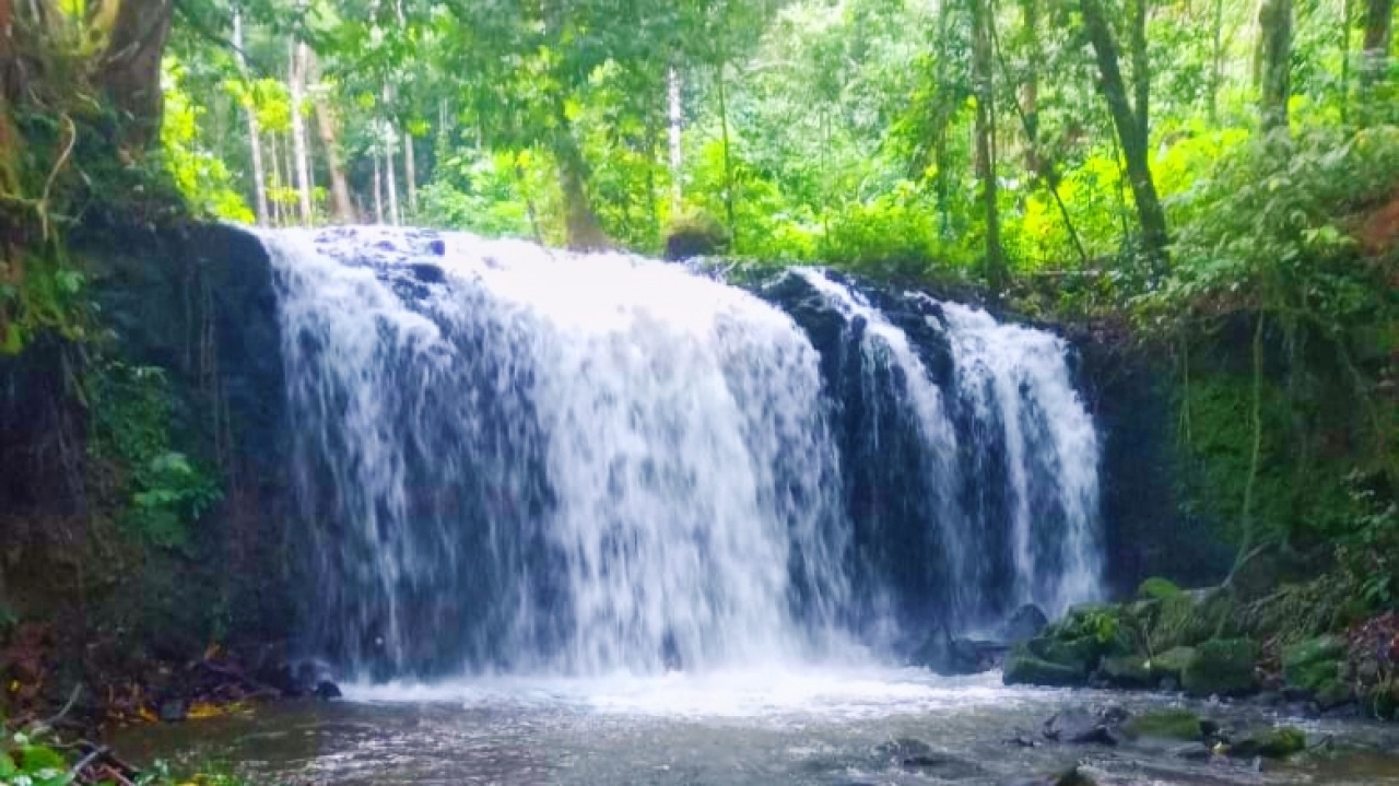 WISATA ALAM