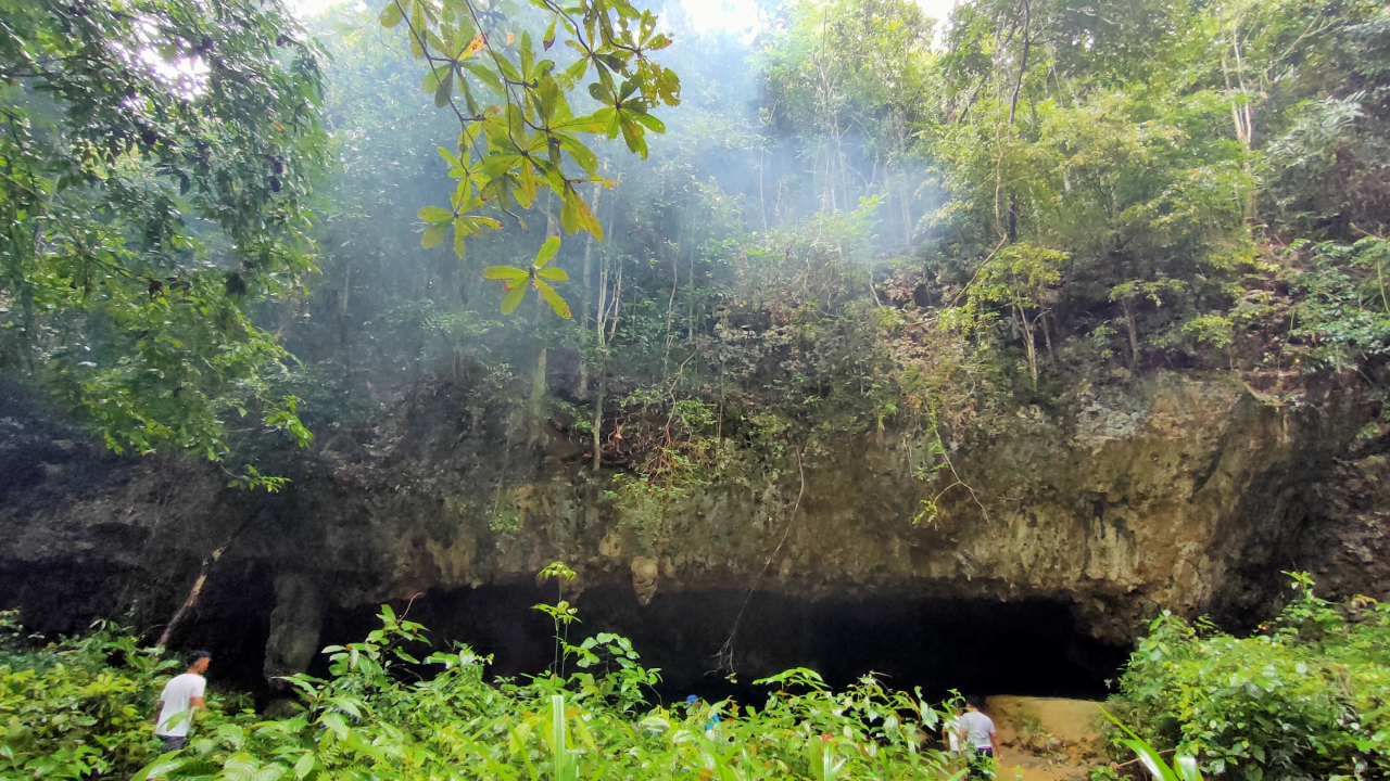 Goa CGG (Tanse)