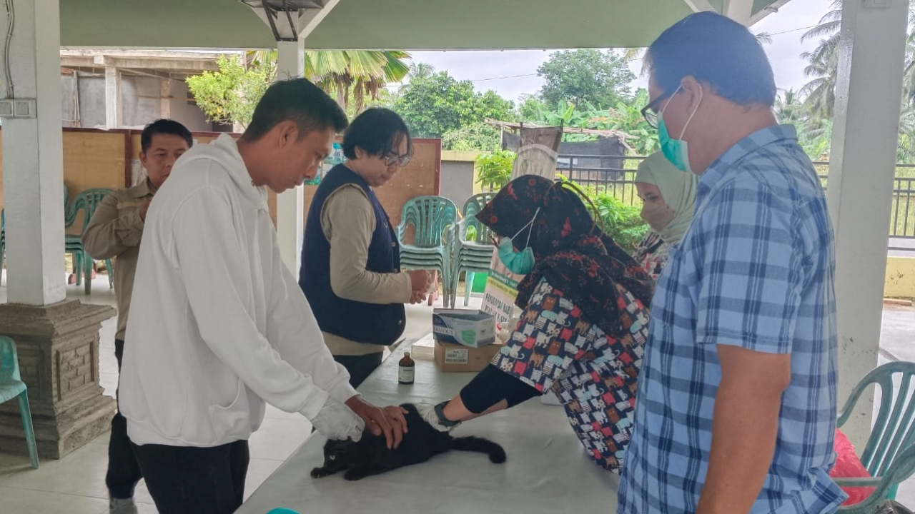 Dinas Pertanian Gelar Vaksinasi Gratis untuk Cegah Rabies pada Hewan
