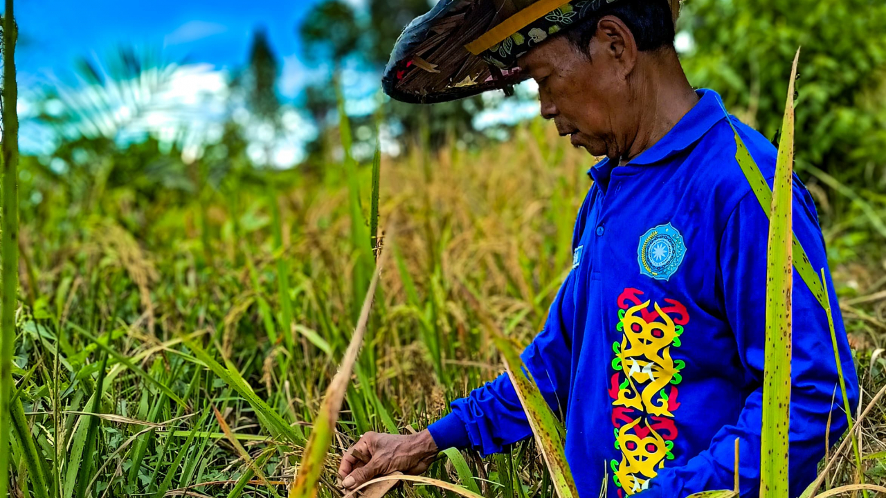 Agrowisata