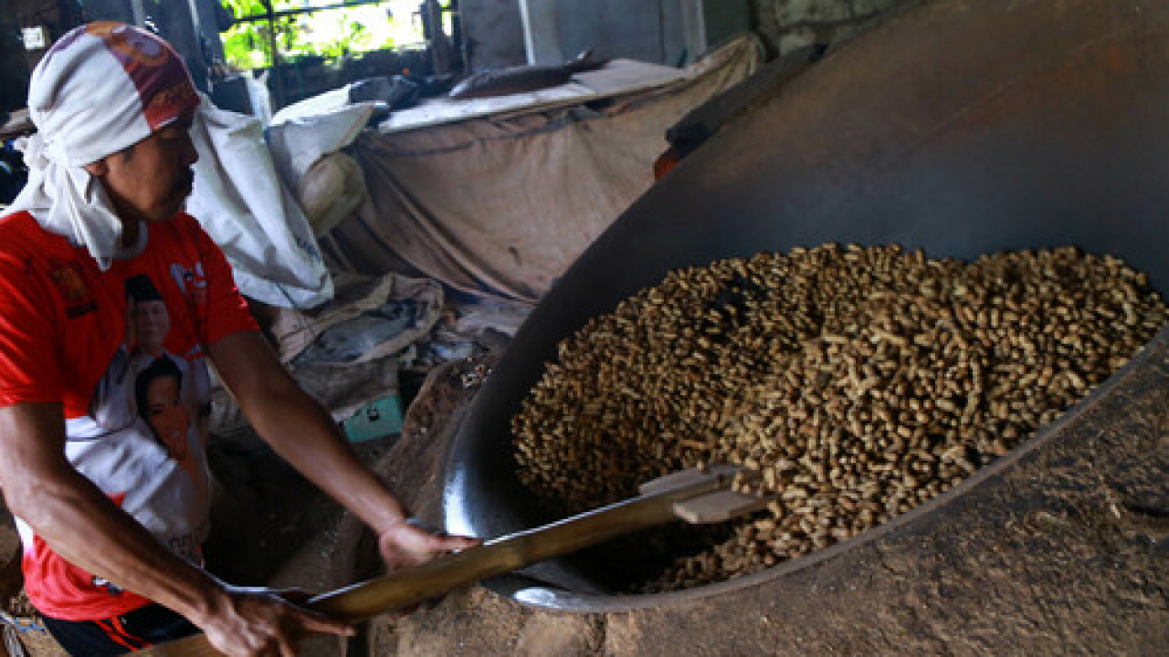Industri rumah tangga Kacang Sangrai