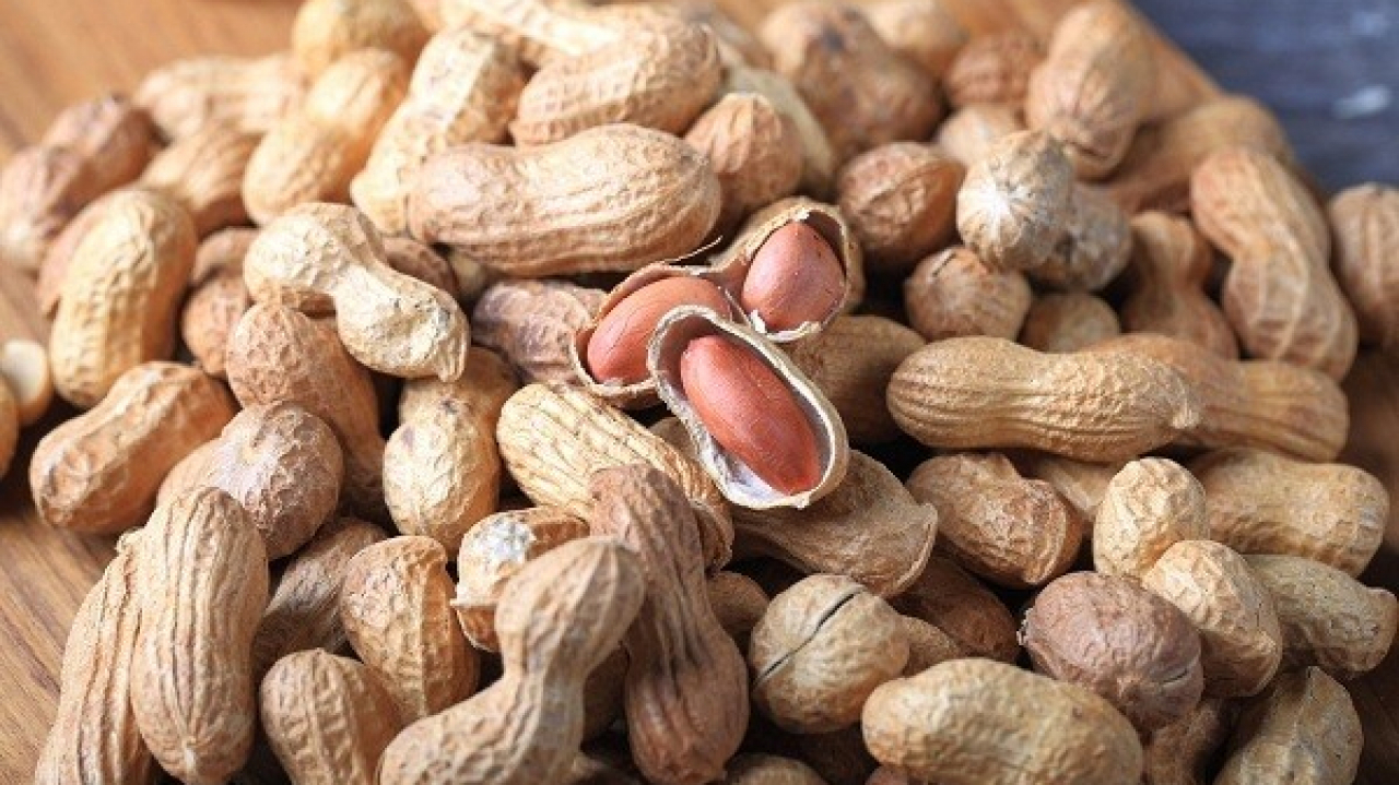 Kacang Tanah