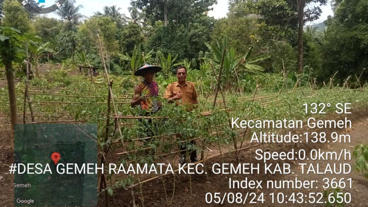 KUJUNGAN PEMERINTAH DESA DIKEBUN PERTANIAN KELOMPOK BERBASIS MASYARAKAT