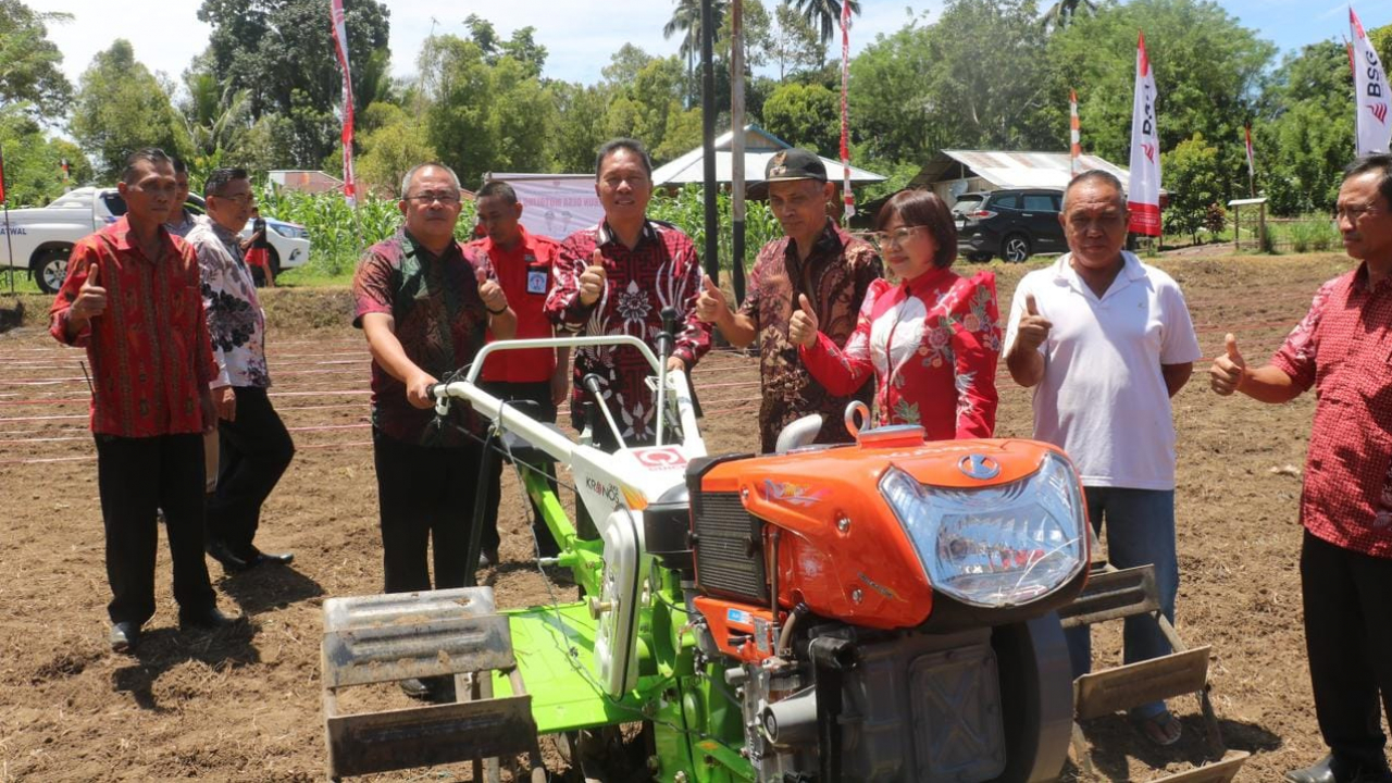 Potensi Ekonomi Desa Motoling Dua: Mengandalkan Jagung sebagai Tulang Punggung Perekonomian