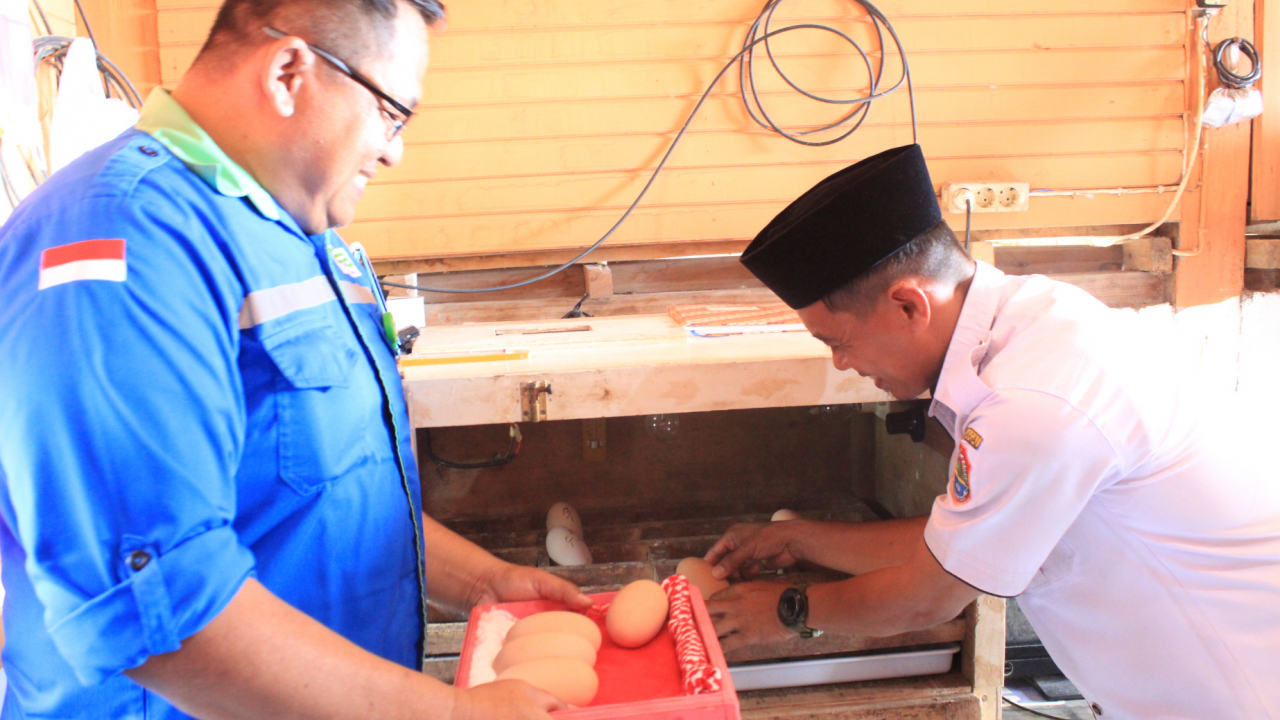 Sinergi Tingkatkan Populasi Maleo: Pemdes Uso dan Lembaga Adat Serahkan Telur ke Konservasi PT PAU