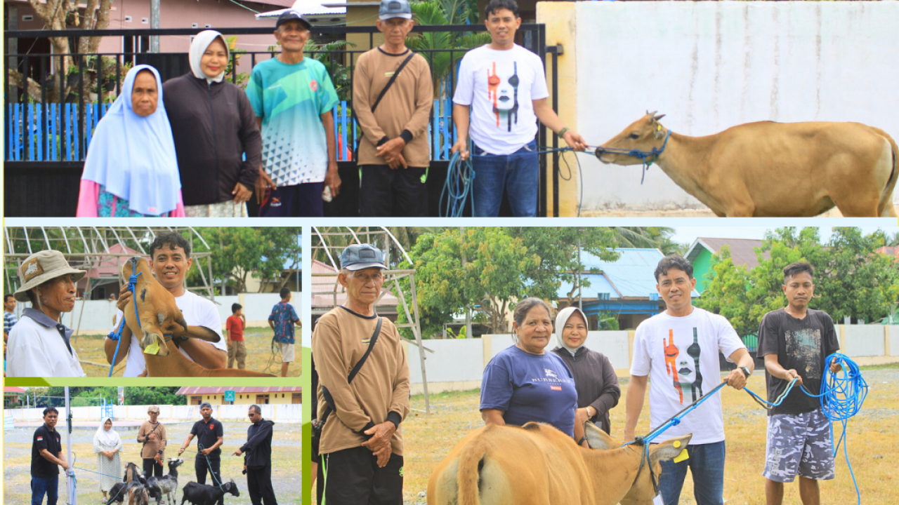 PROGRAM APBDES 2025: PEMDES USO SERAHKAN BANTUAN 41 EKOR SAPI DAN 8 KAMBING KEPADA MASYARAKAT