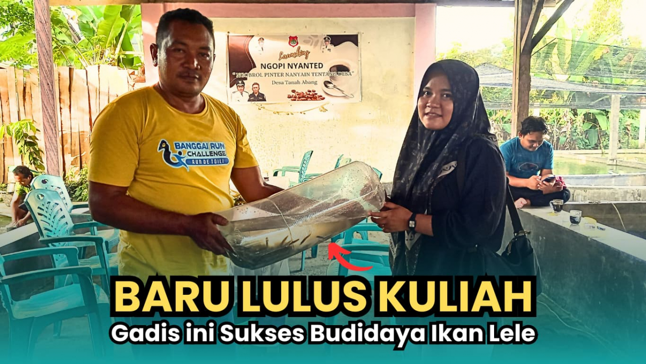 GADIS ASAL KINTOM INI BERHASIL JADI PEMBUDIDAYA IKAN LELE