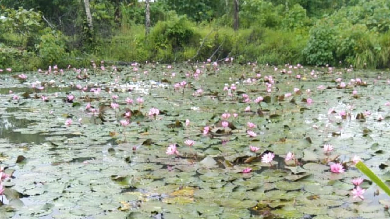 Kolam Pemancingan Desa dan Angkringan Kuliner Khas Sunda