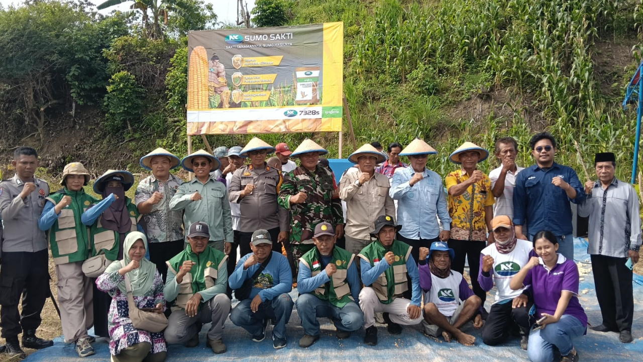 Panen Raya Jagung Lanto Jaya, Dukung Ketahanan Pangan 2025