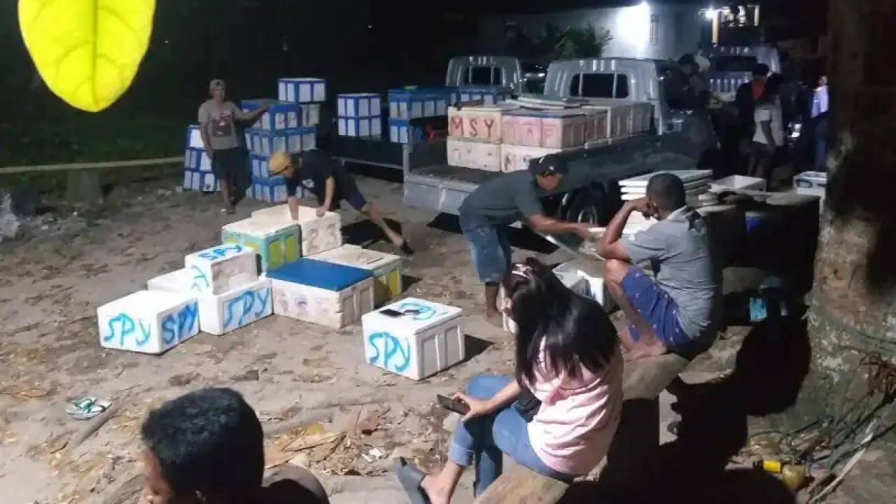 Diserbu Teri Nelayan Pantai Tebamba Panen Rezeki