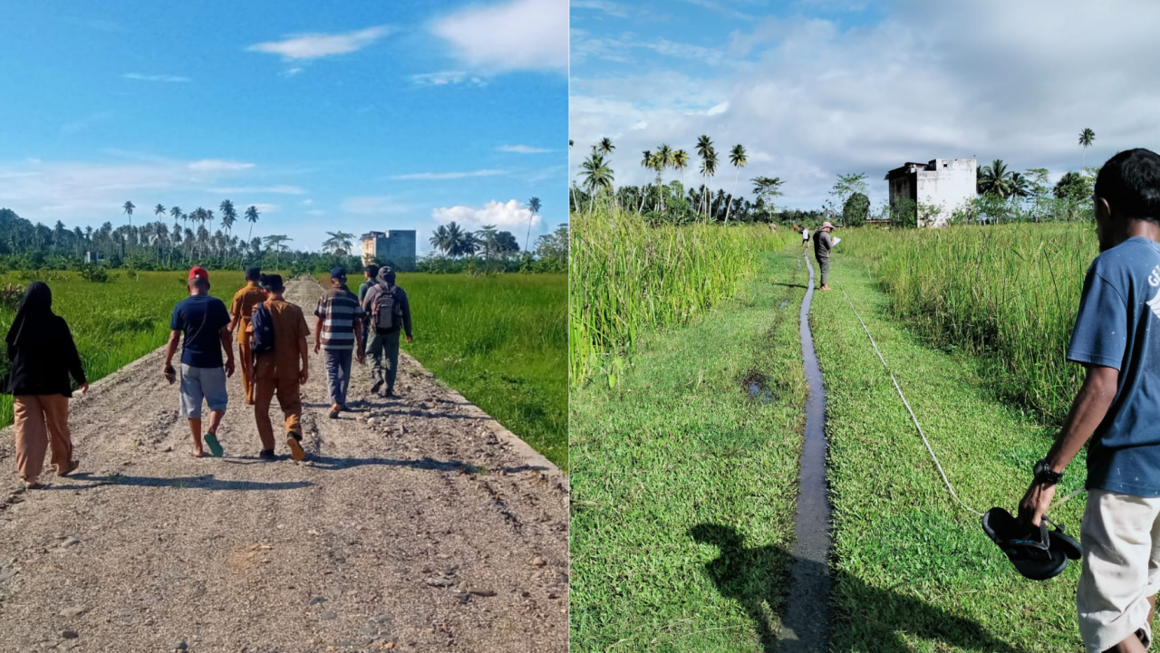 Pembangunan Jalan Usaha Tani (JUT) Permudah Akses Petani