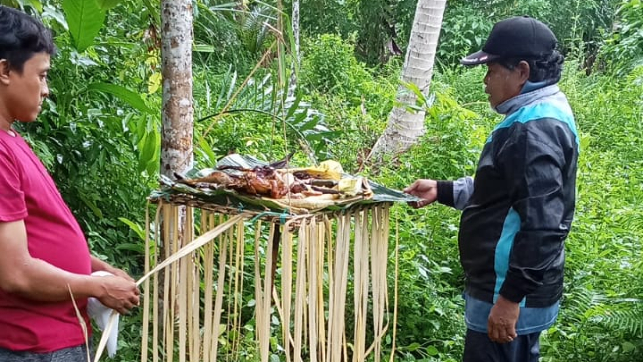 Tradisi Unik: Merasakan Magis Adat Sebelum Mengolah Sawah di Desa Pani'i