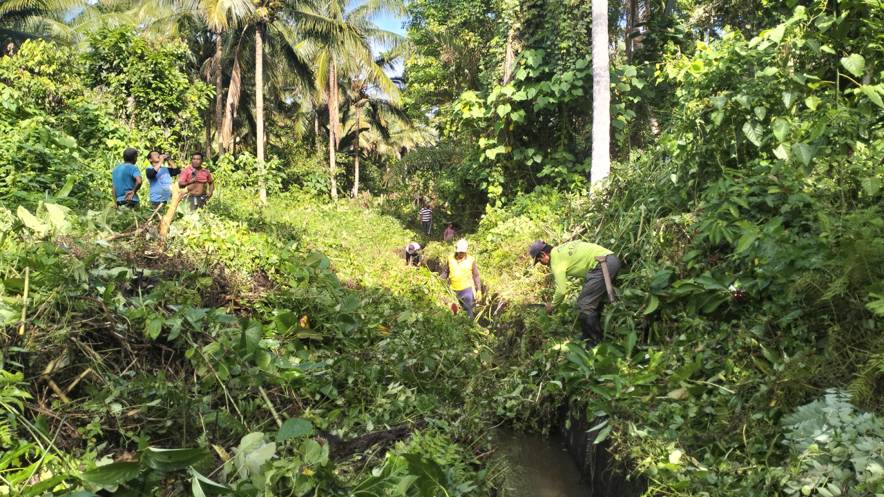 Kerja Bakti Umum Jadwal MusimTanam Padi OKMAR 2025/2026 Desa Siboang