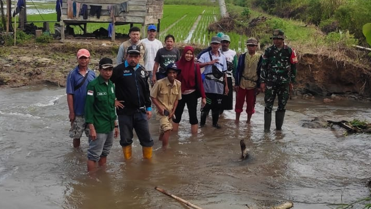 Sawah di Desa Tonggolobibi Rusak akibat Banjir, Pemerintah Desa Tinjau Lokasi