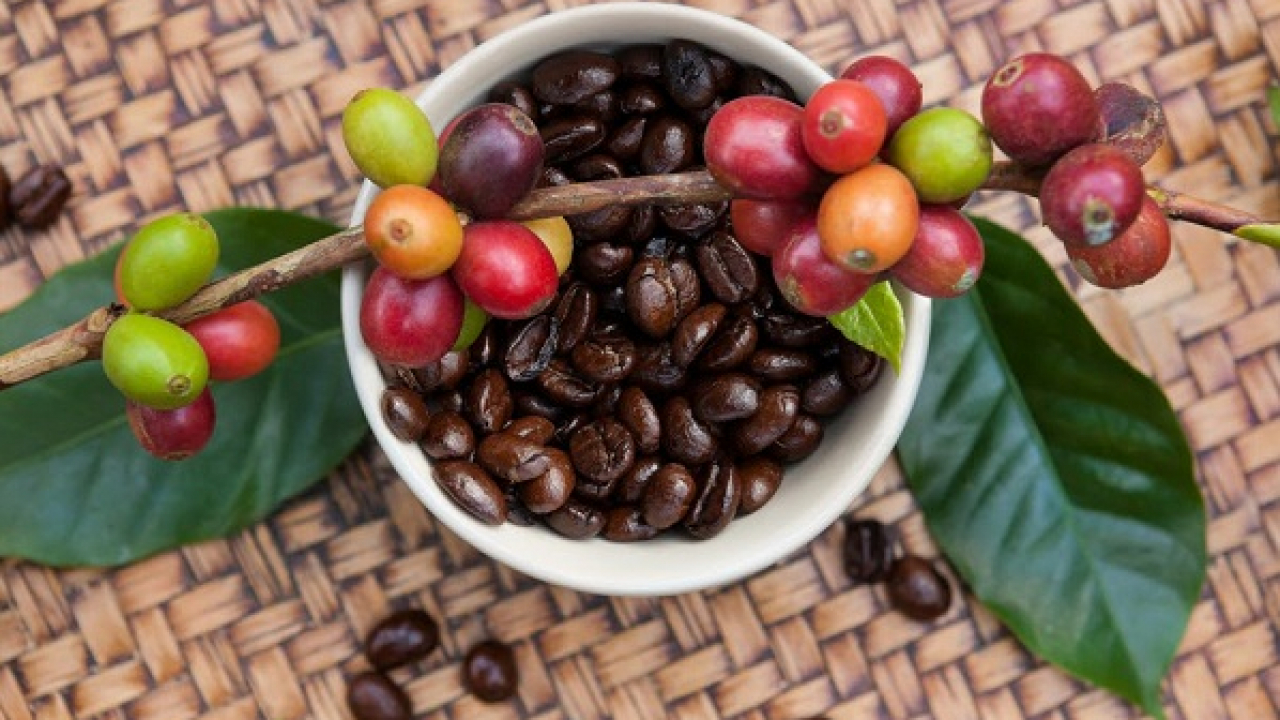 Kopi