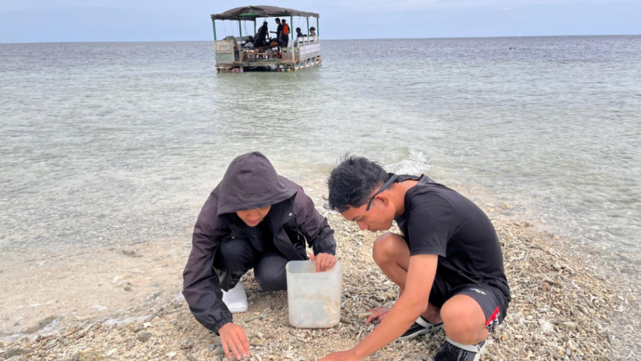 PASIBAI: Permata Tersembunyi dari Laut Desa Towale