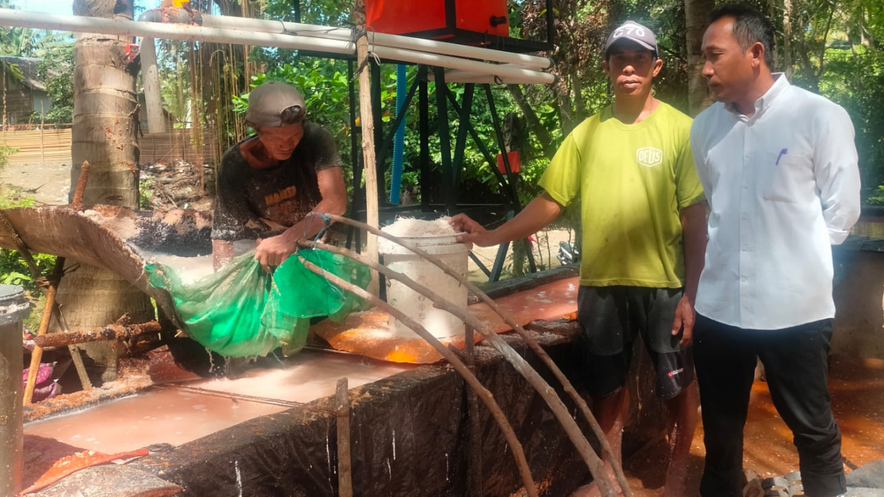 Penguatan Pangan Lokal, Pengolahan Bahan Baku Sagu