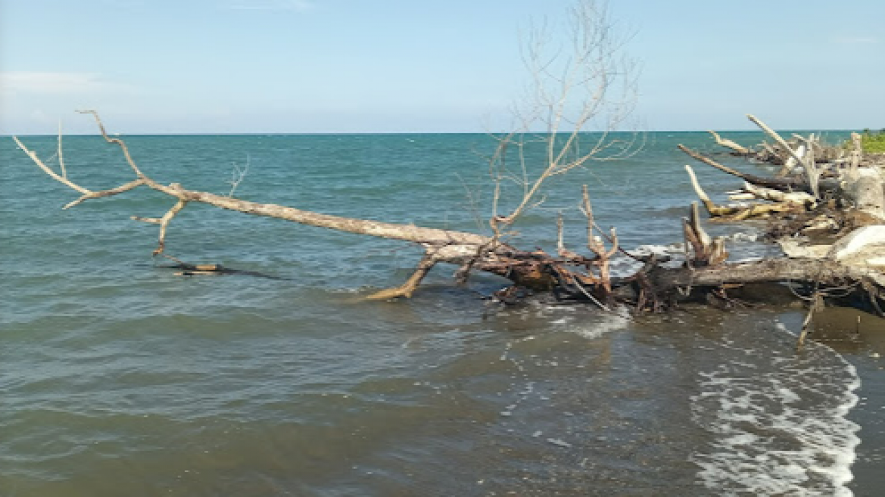 Pantai kelomang