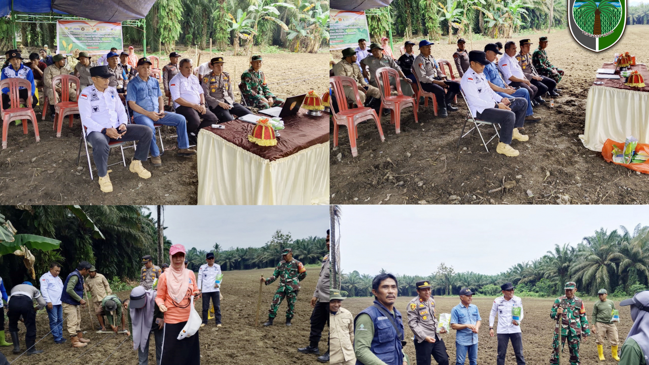 Tanam Perdana Jagung di Desa Emea Dukung Program Ketahanan Pangan Nasional