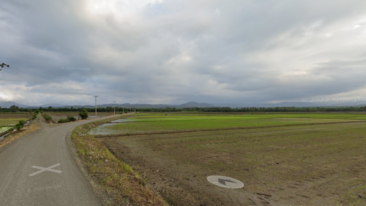 SPOT FOTO LANSCAPE SAWAH
