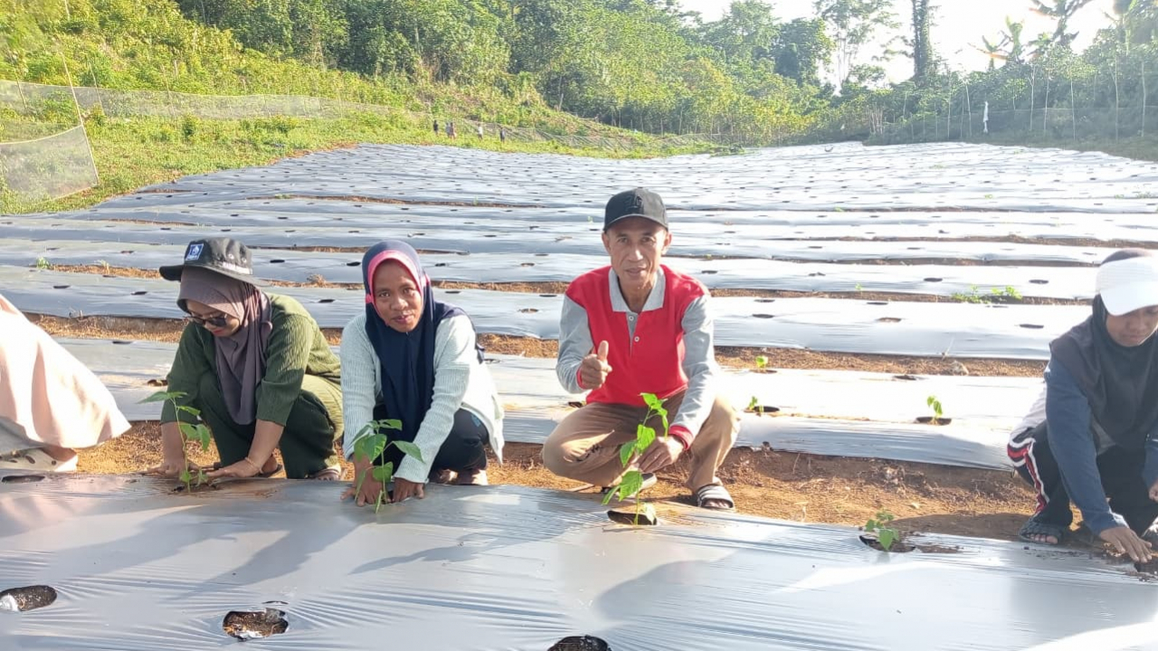 Penanaman Perdana Ketahanan Pangan oleh Kepala Desa Saiyong