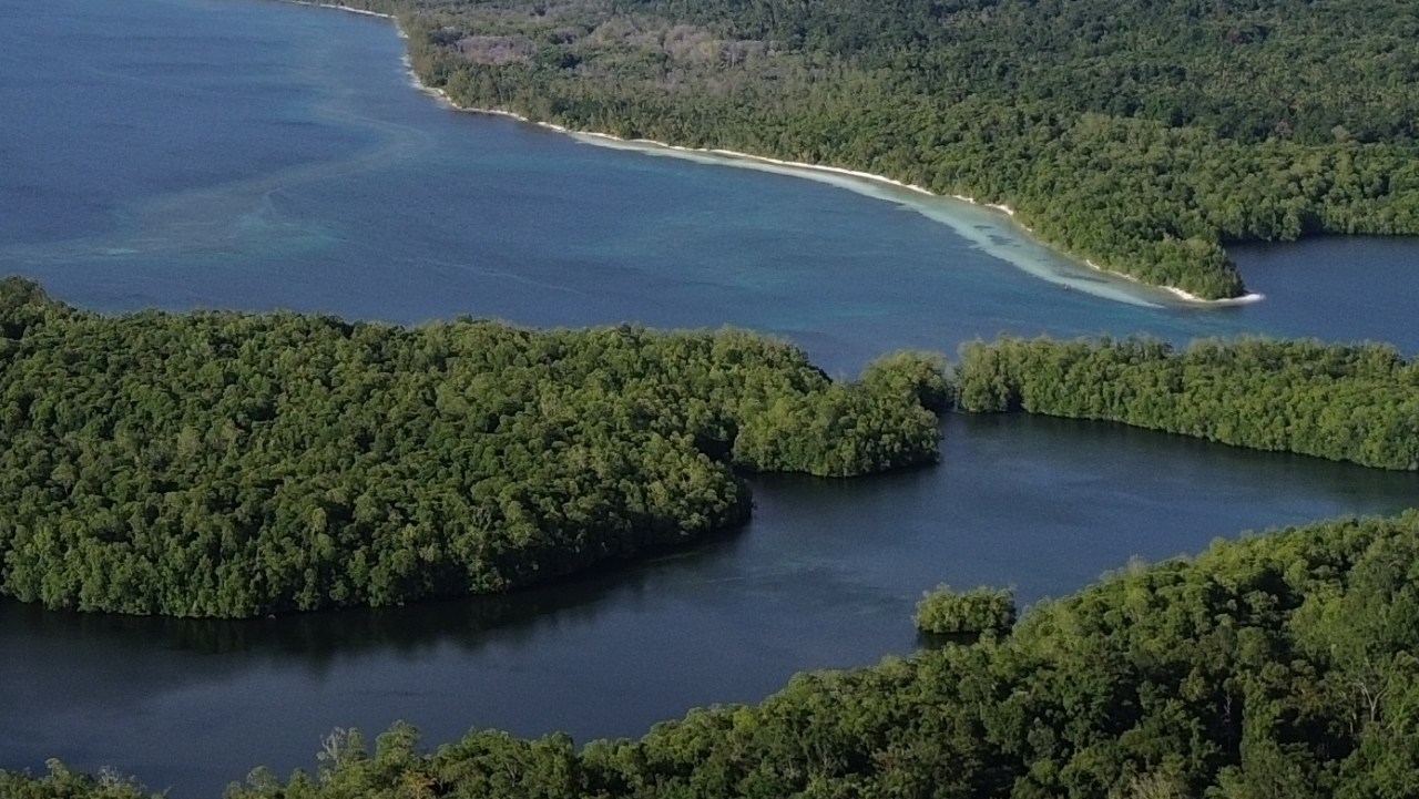 Wisata Pasir Putih Tambang