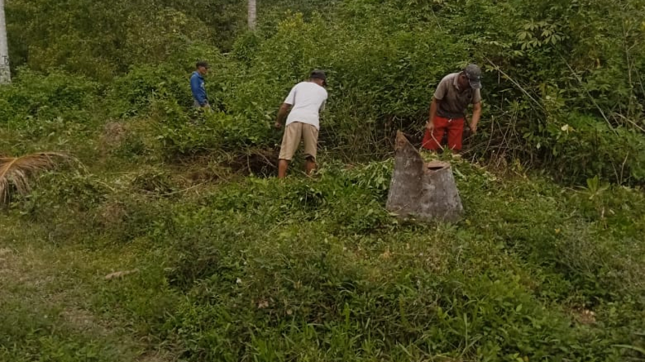 Inisiatif Kelompok Dusun 3 Bersihkan Lokasi Program Ketahanan Pangan Nasional