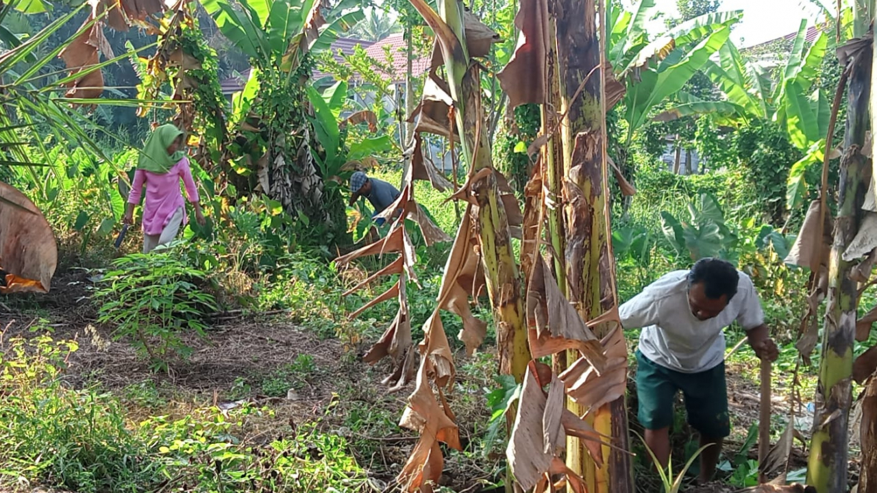 Kerja Bakti Kebun Dasawisma di RT 03 Dusun 7 Desa Kalukubula