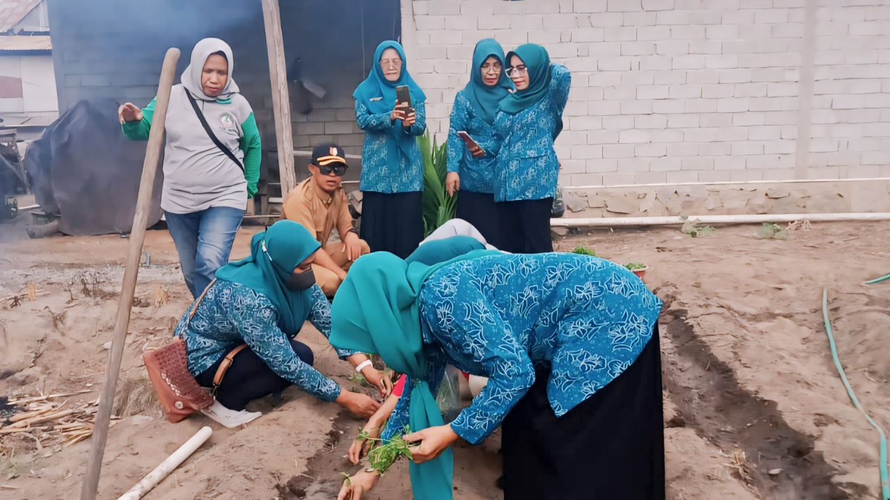 Penanaman Perdana Di Kebun B2SA PKK Desa Kalukubula