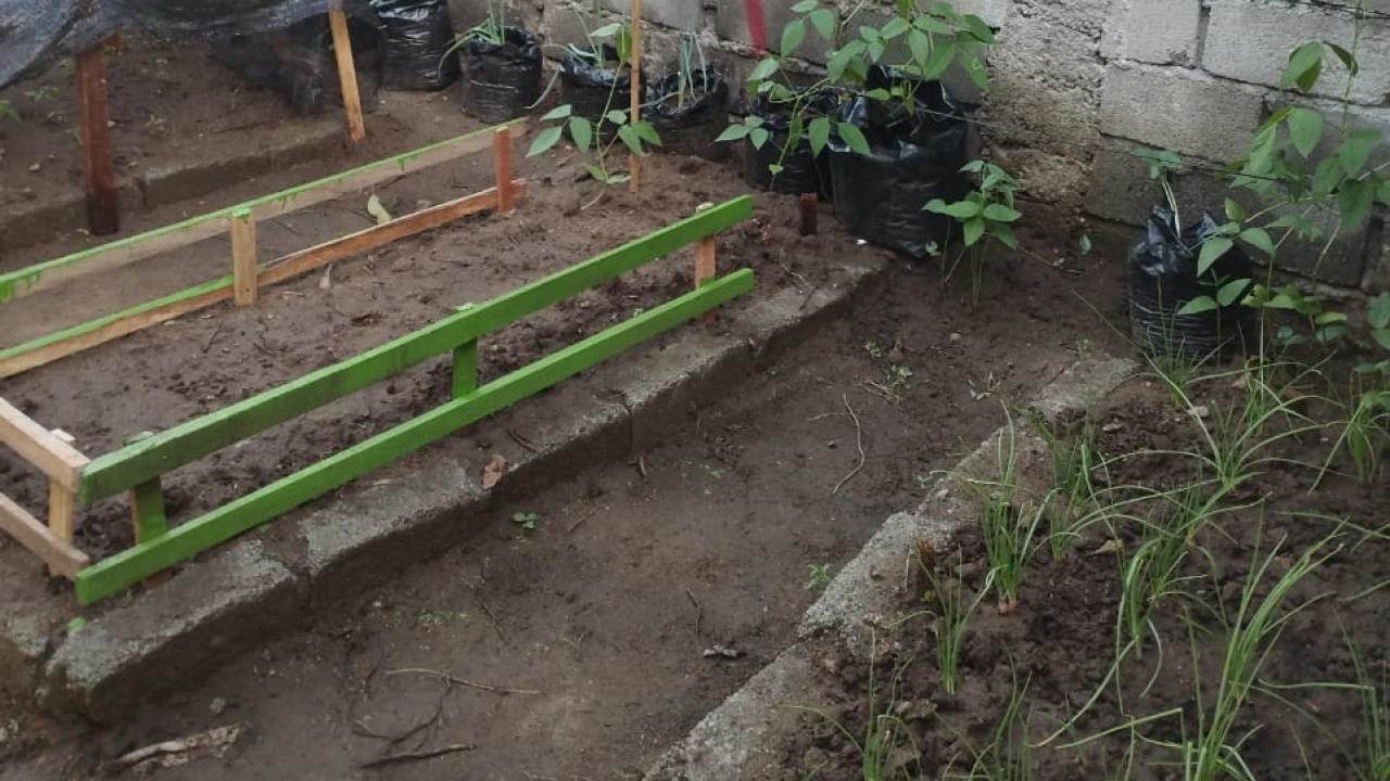 Perawatan Kebun PKK Dusun 7