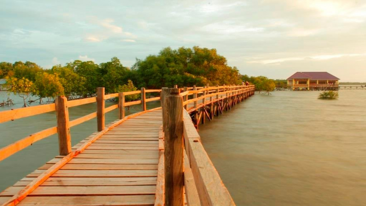 Hutan Mangrove Matalang