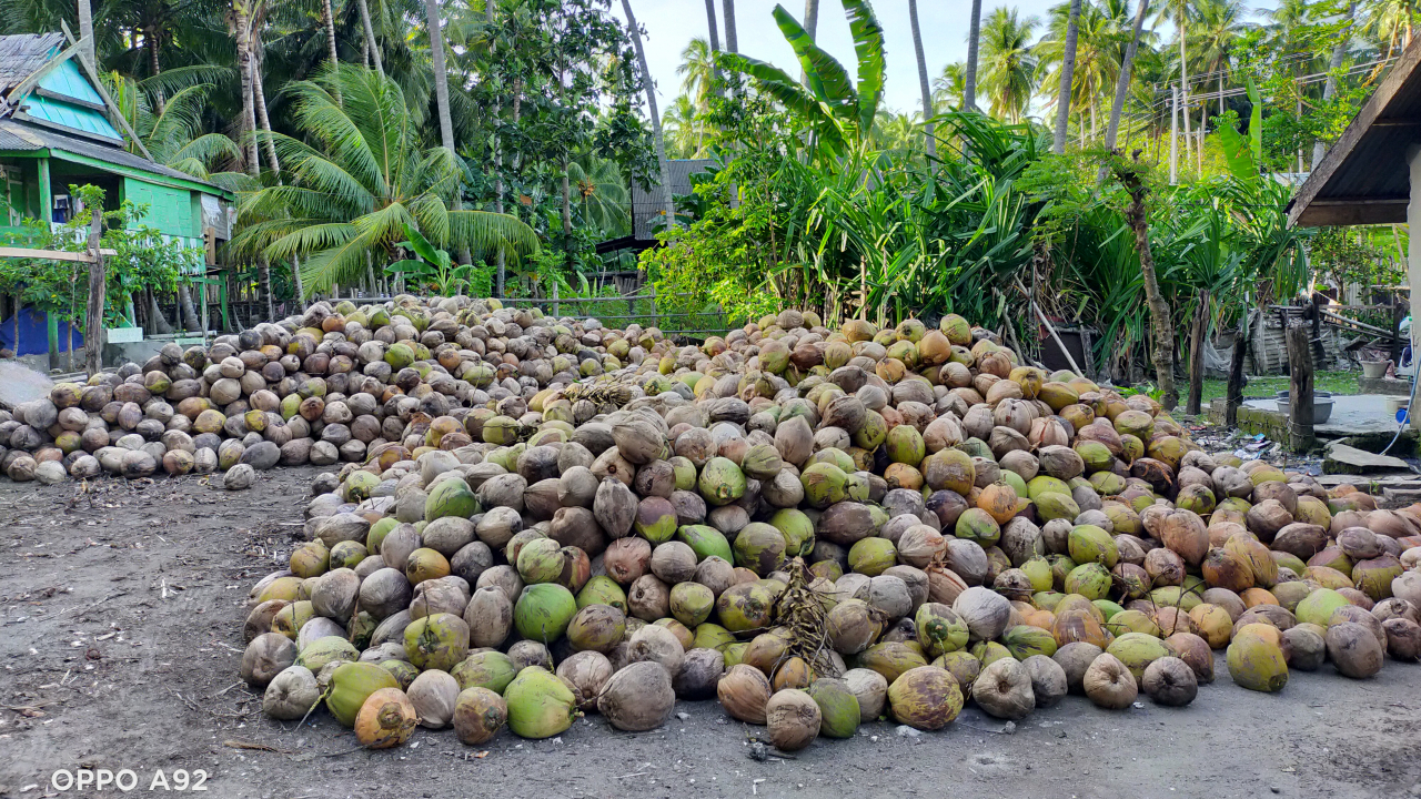 Pengolahan Kelapa