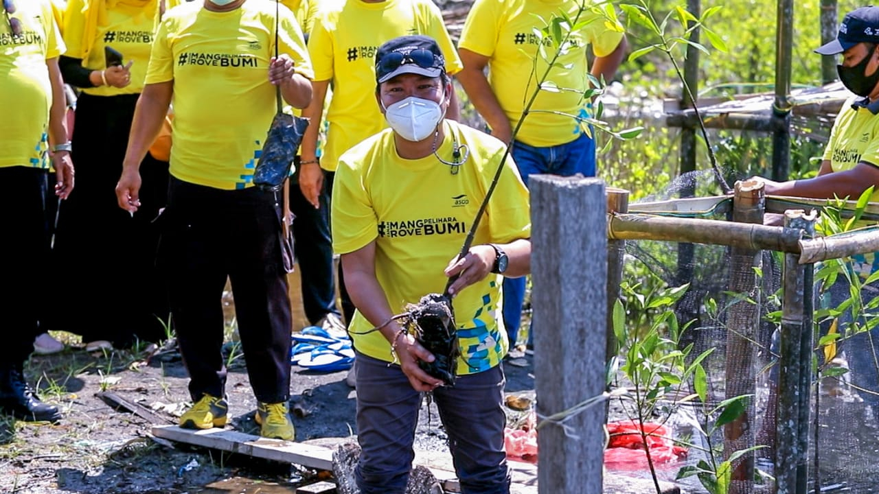 Penanaman Mangrove