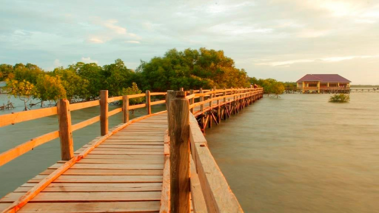 Mangrove Matalalang