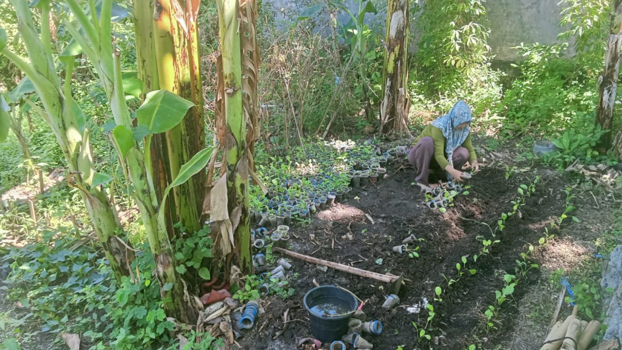 Hari Libur Penuh Makna! Ketua TP PKK Lembang Manfaatkan Waktu dengan Berkebun dan Menata Lingkungan Kantor