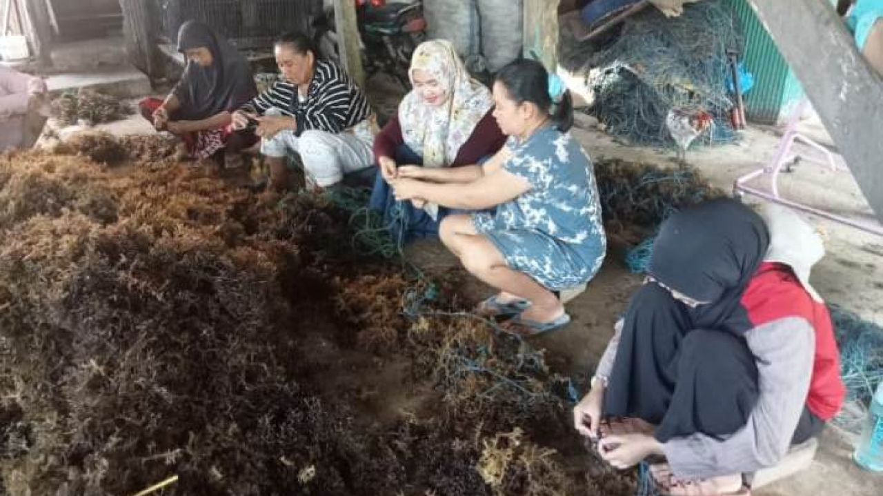 Usai Kerja Bakti Sungai, Lurah Lembang Bersama TP PKK dan KKN Unhas 115 Berbaur dengan Warga Ikat Bibit Rumput Laut di Tamalangnge