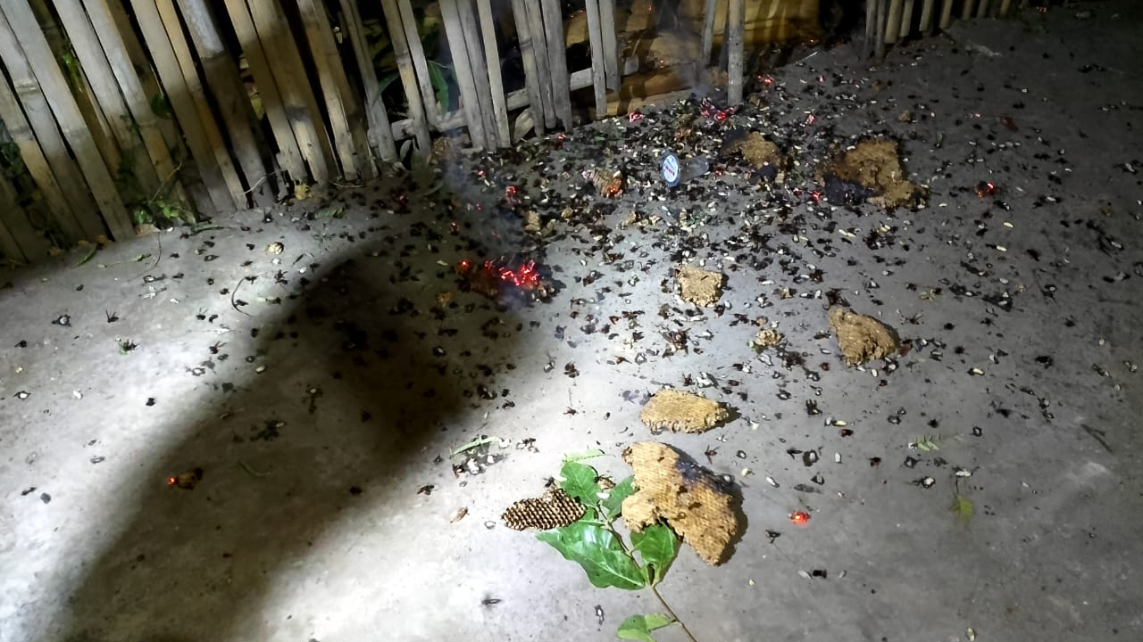 Respon Cepat RT dan Damkar Bantaeng, Sarang Tawon Vespa di Wilayah Tamalangnge Kelurahan Lembang Berhasil Ditangani dengan Aman