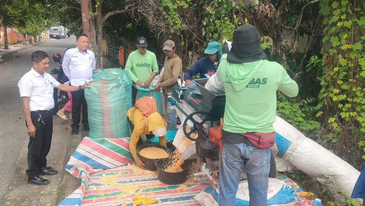 Pemantauan Aktivitas Pengolahan Hasil Bumi Jagung: Komitmen Kelurahan Lembang dalam Mendukung Ekonomi Warga