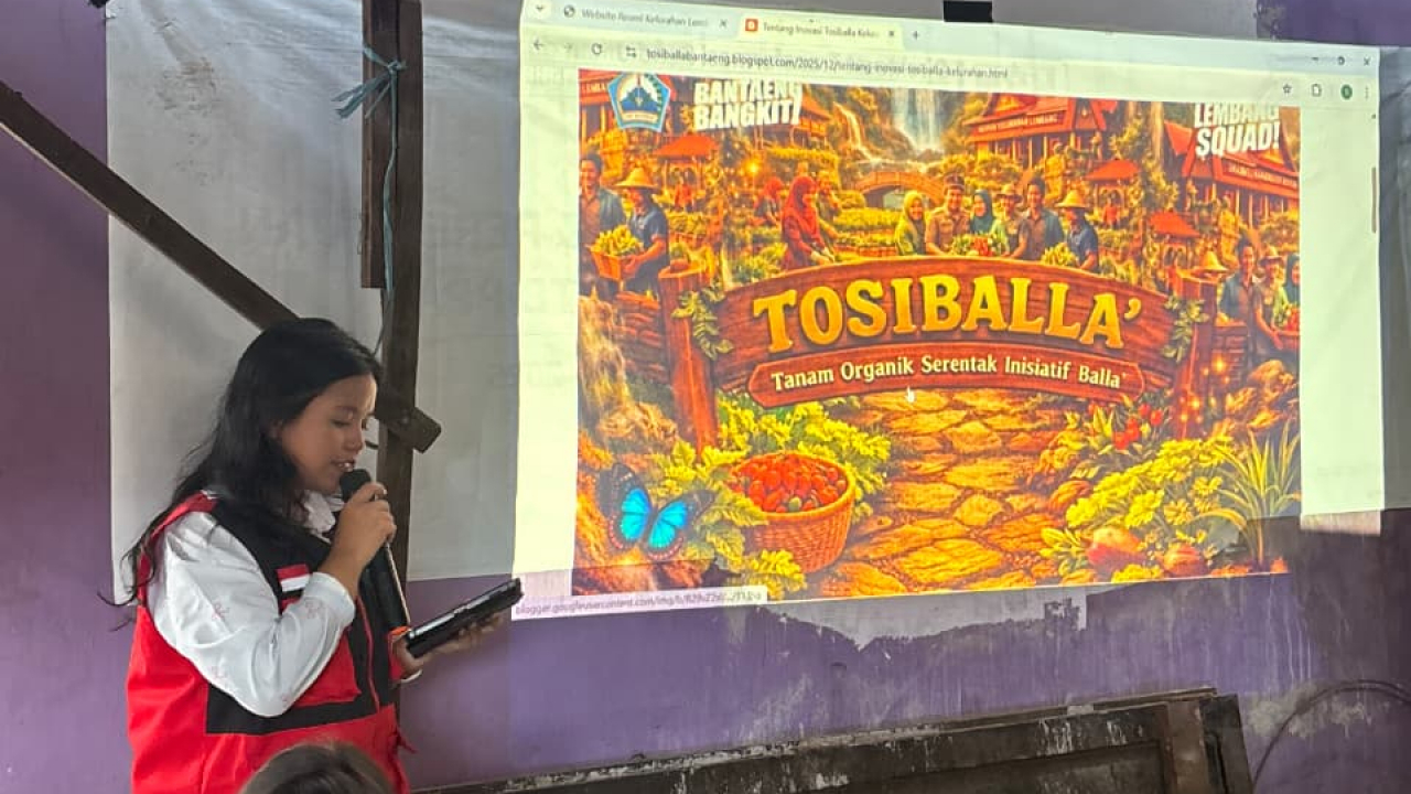 Inovasi Kelurahan Lembang TOSIBALLA Melangkah Bersama KKN 115 UNHAS, Wujudkan Ketahanan Pangan Wilayah Melalui Pembagian Bibit Cabai Besar di Tamalangnge