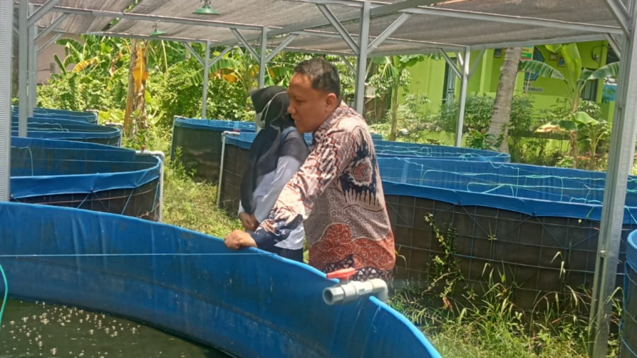 Menjelang Sore Penuh Semangat, Lurah Lembang dan Penyuluh Perikanan Tinjau Bioflok di Halaman Kantor Kelurahan