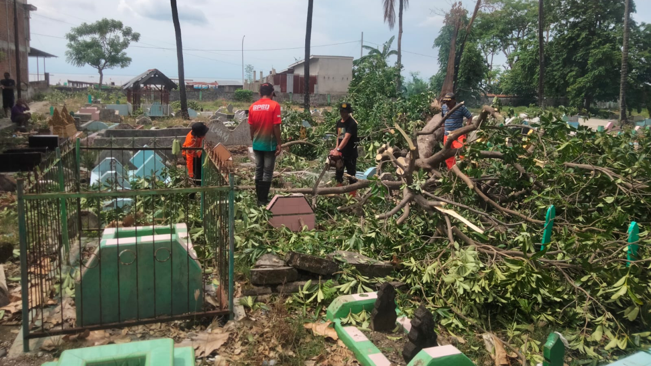 Respon Cepat Pemerintah Kelurahan Lembang Tangani Pohon Tumbang di TPU Tamalangnge